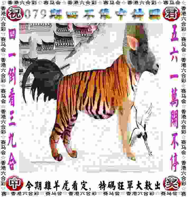 合肥今年再推一批业余联赛 高水平赛事仍不断